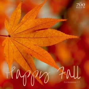 Meet your Posher, Sue